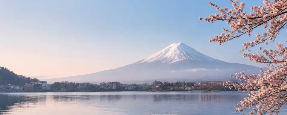 Illustrated Japanese landscape with Mount Fuji, a lake, and flowering cherry trees